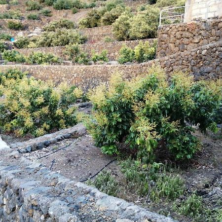 Apartamento Independent House In Rural Setting La Orotava Exterior foto